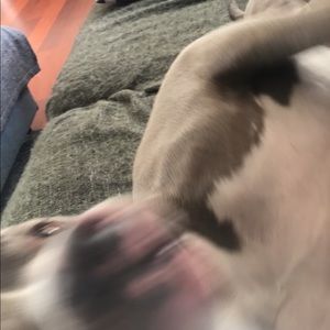 Meet your Posher, Mark